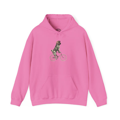 Dog on a Bicycle - Hoodie