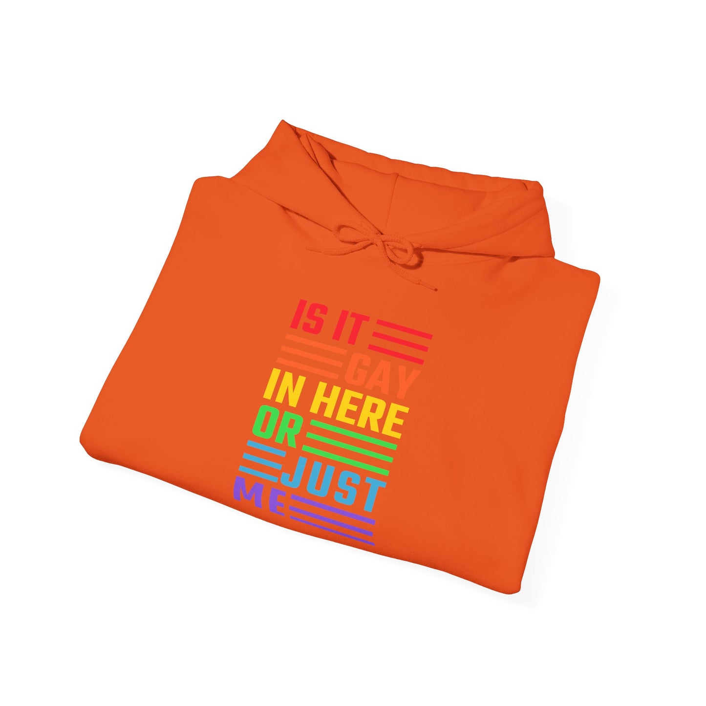 Is It Gay In Here Or Just Me - Hoodie