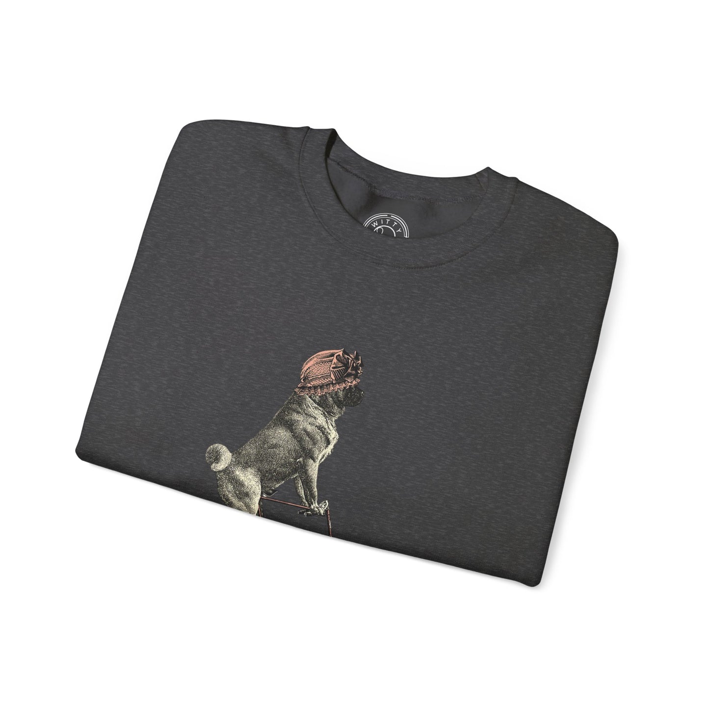 Dog on a Bicycle - Sweatshirt