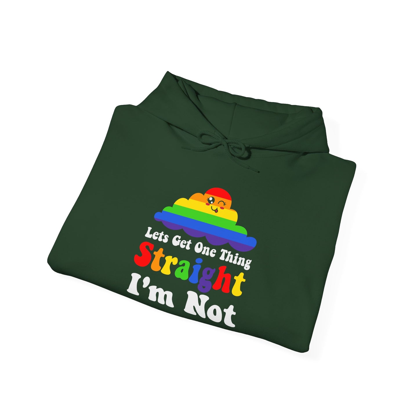I'm NOT STRAIGHT - Hoodie