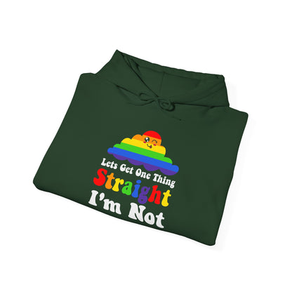 I'm NOT STRAIGHT - Hoodie