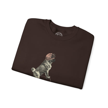 Dog on a Bicycle - Sweatshirt