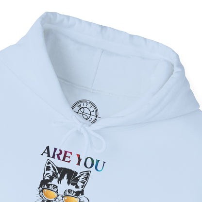 Are You Kitten Me? - Hoodie