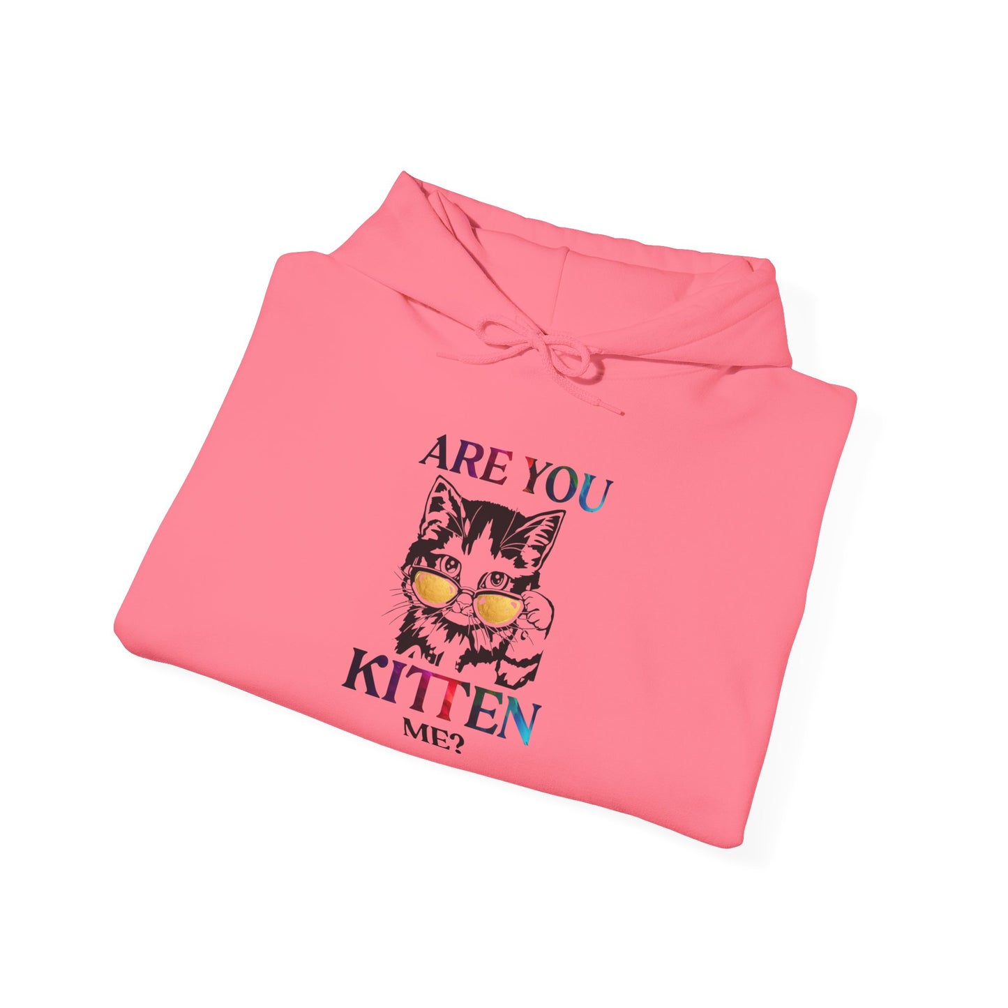 Are You Kitten Me? - Hoodie
