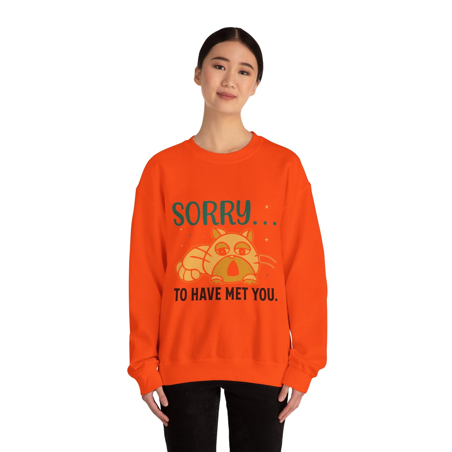 Sorry to have met you - Sweatshirt