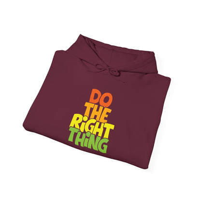 Do The Right Thing -  Hoodie
