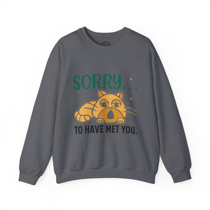 Sorry to have met you - Sweatshirt