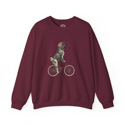 Dog on a Bicycle - Sweatshirt