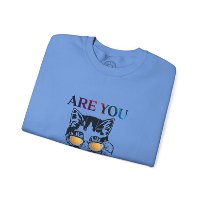 Are You Kitten Me? - Sweatshirt