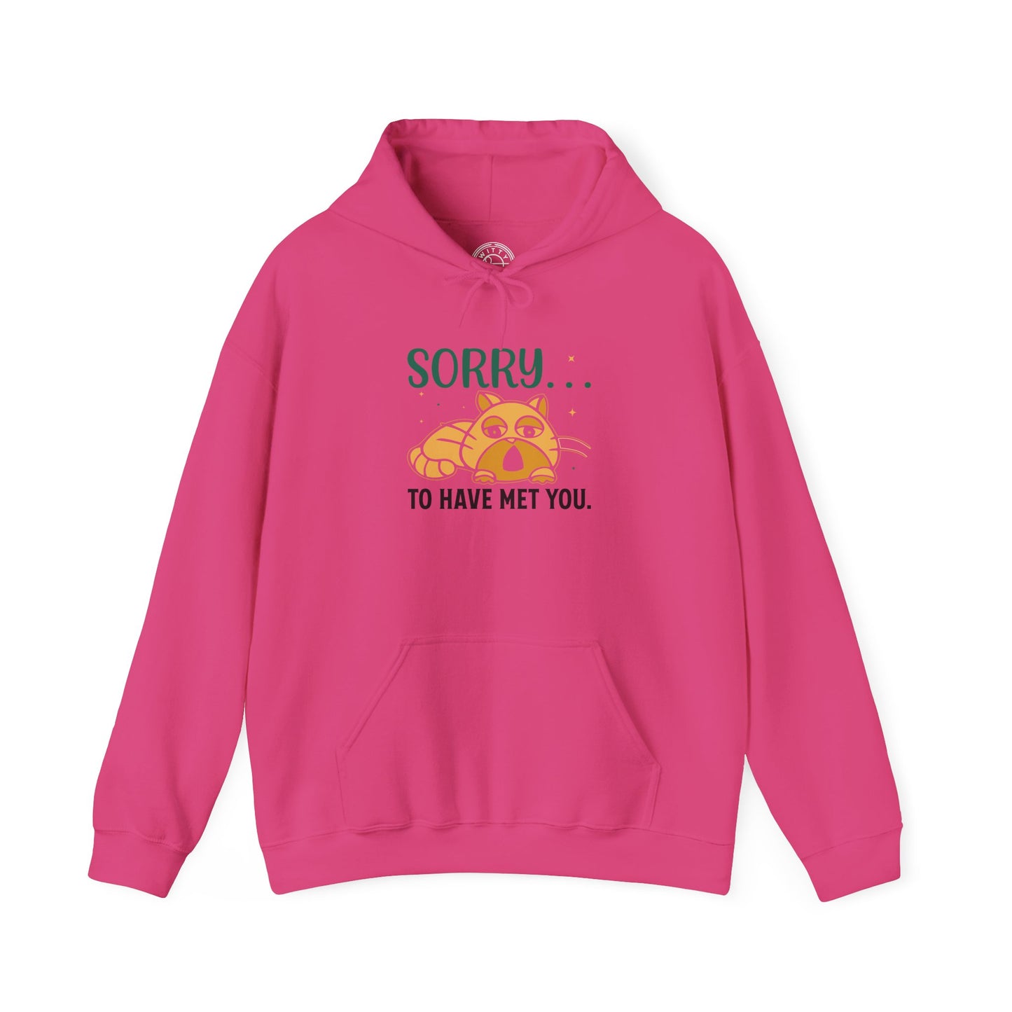 Sorry to have met you -  Hoodie