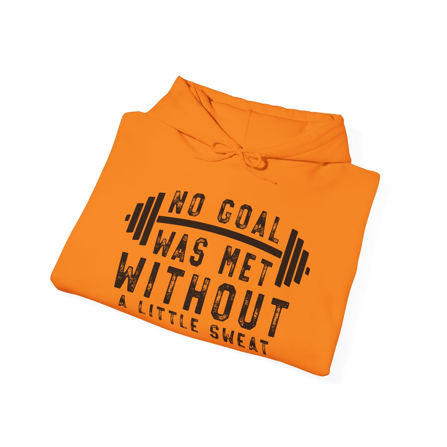 No Goal Was Met Without a Little - Hoodie